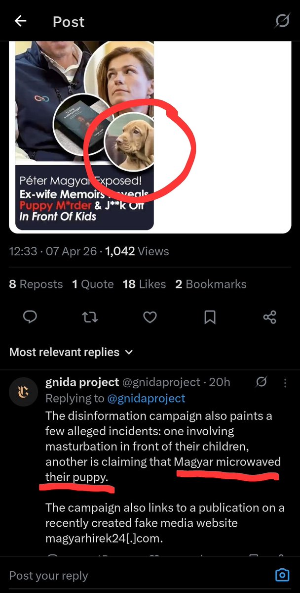 Jay in Kyiv tweet media