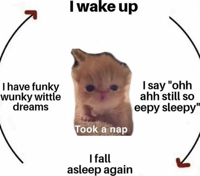 「 ɴʏᴀɴᴊᴀ 」★ tweet media