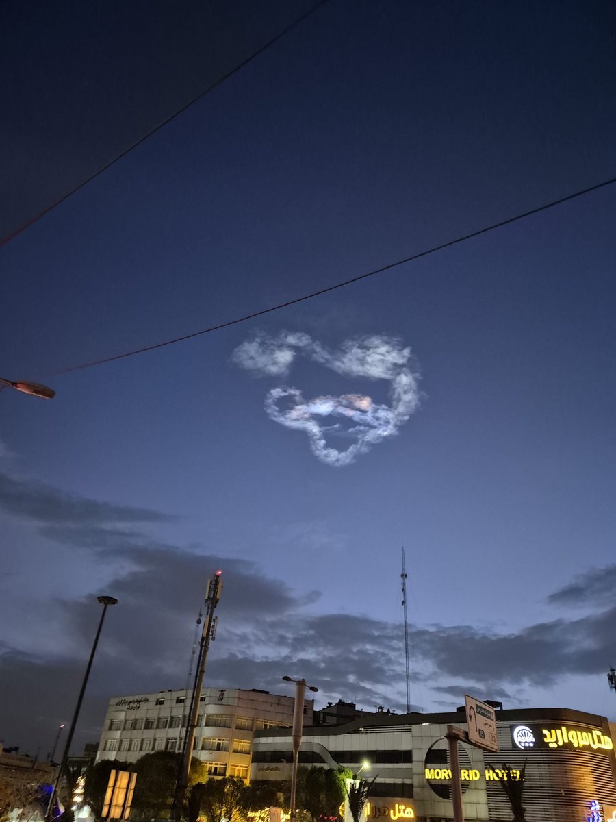 متیو تروث 🕊️🙏🏽🌻 tweet media