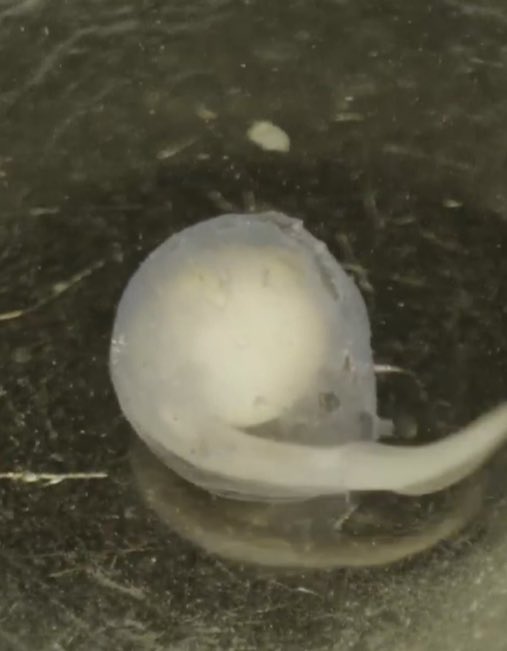 Fun ZunYi tweet media