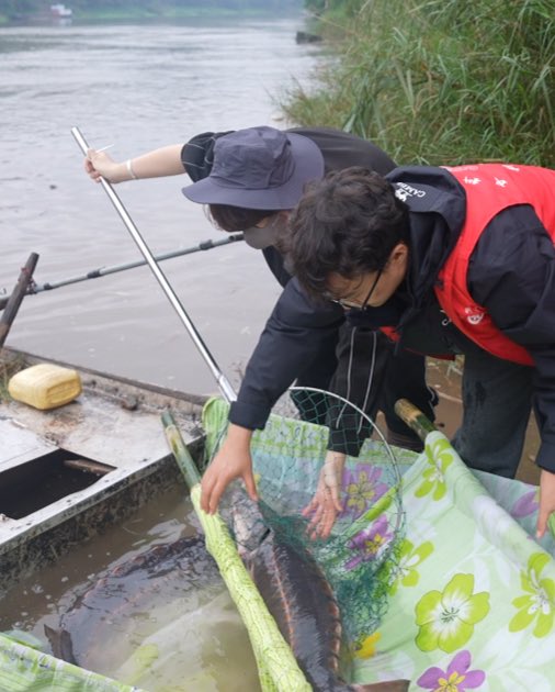 Fun ZunYi tweet media