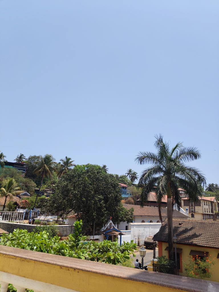 Veronicdsouza's tweet photo. Landscape and Rooftops...
Palm tree...🌴 🌴
Clay -Tiled Roofs..
Goan City Vibe...😁
Clear Blue Sky...#WednesdayVibe
#StreetMoments #Goa #Mapuca #LovewhereYouLive #PeacefulVibes https://t.co/CKKf1xXOon