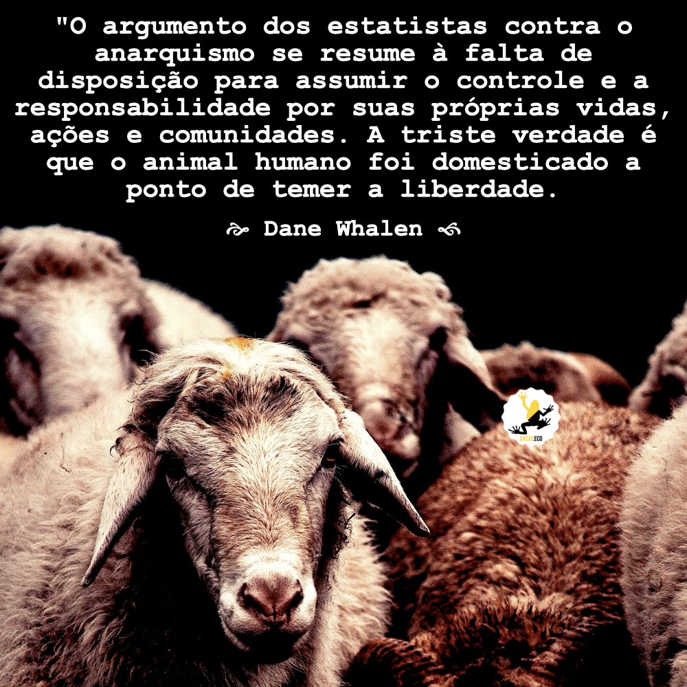 Marco Batalha tweet media