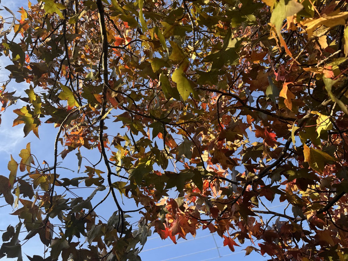 Andrew Lovett tweet media