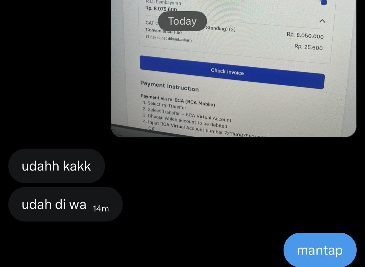 dino (busy) tweet media