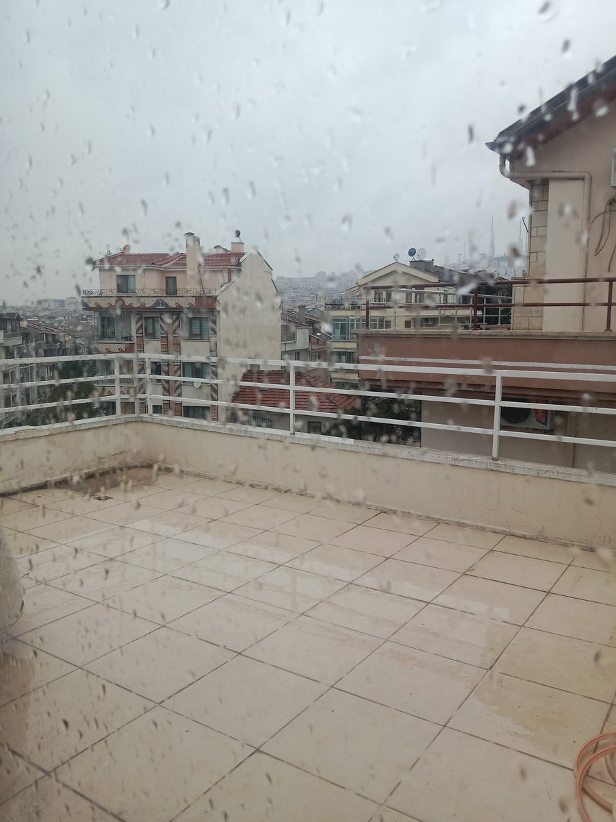 Murat⚓ tweet media