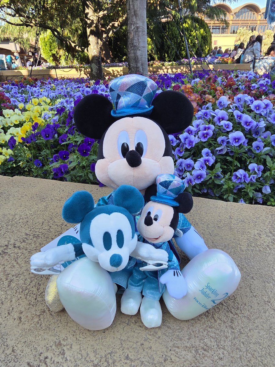 ゆーすけ　ヴィスト tweet media