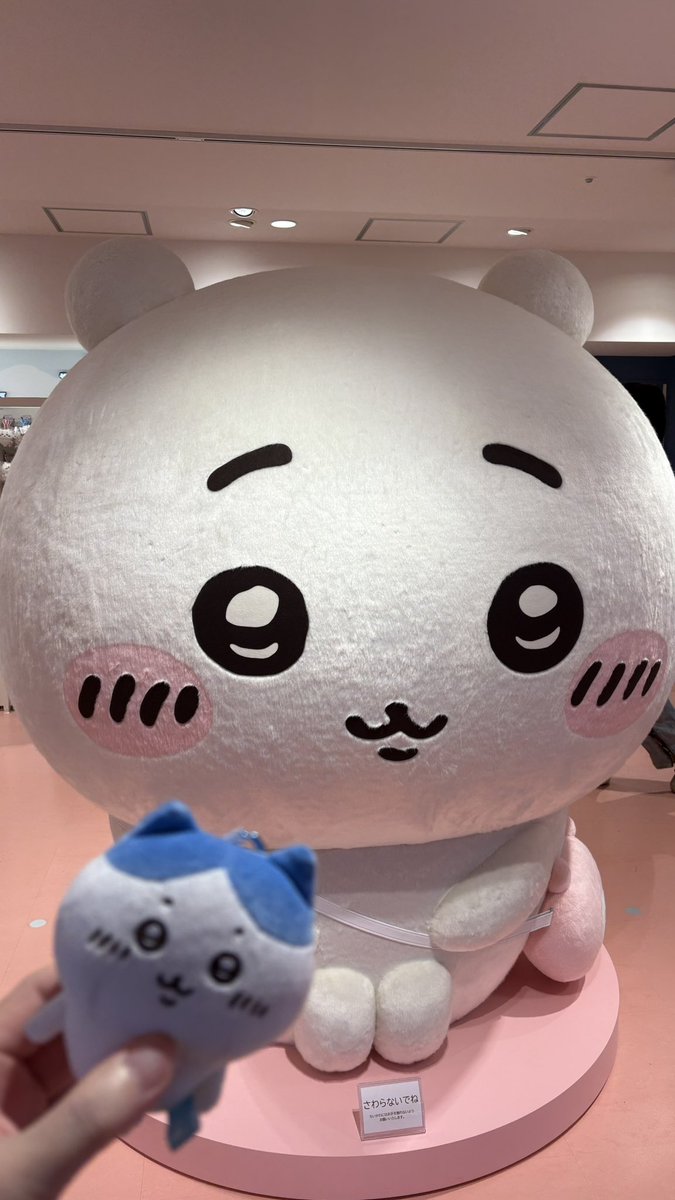 にゃっ太 tweet media