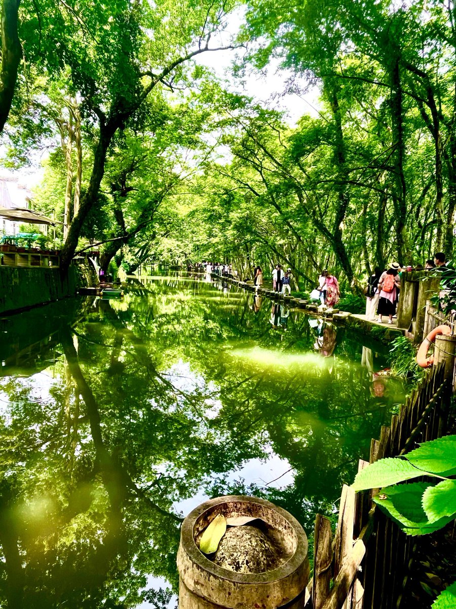 nader salomh tweet media