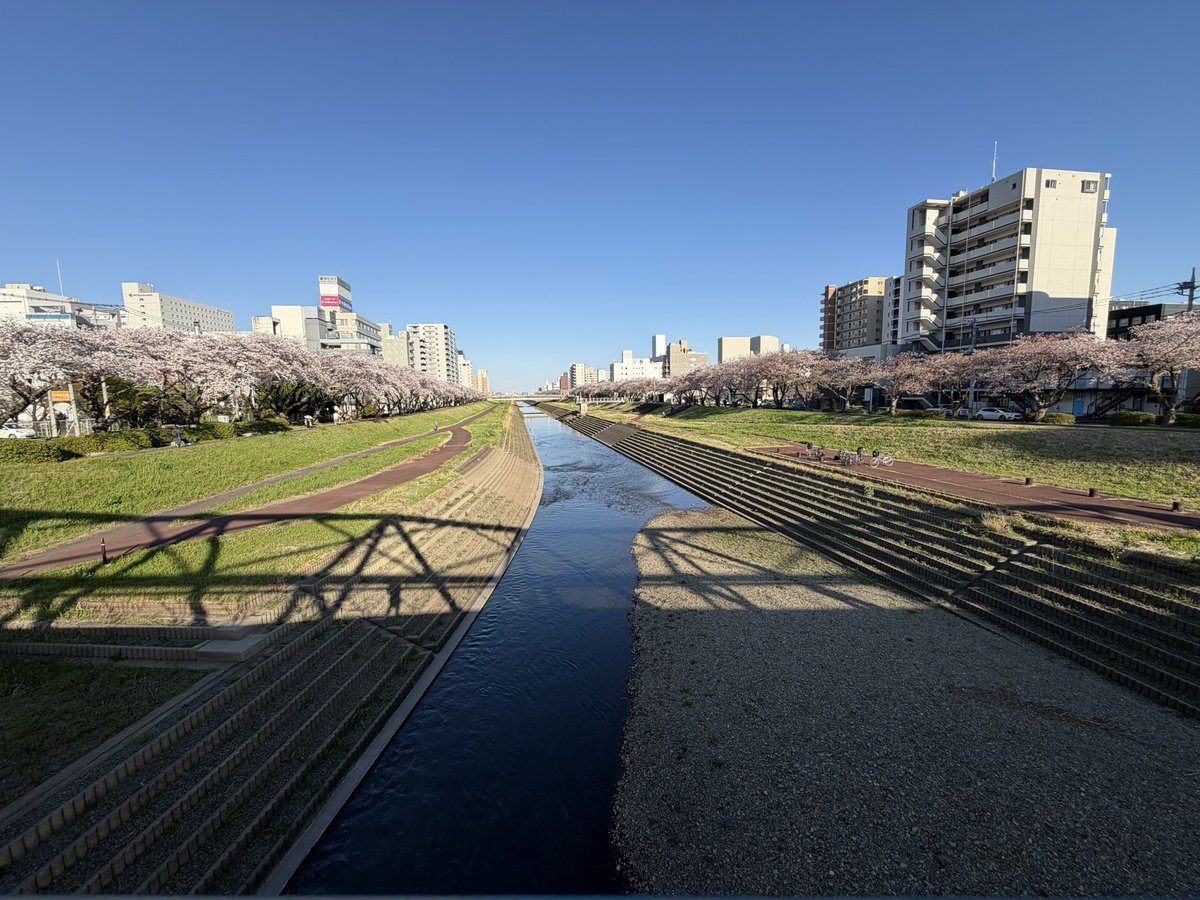 ちいさめ tweet media