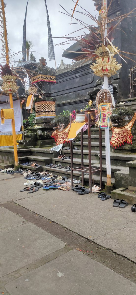 Petra Max tweet media