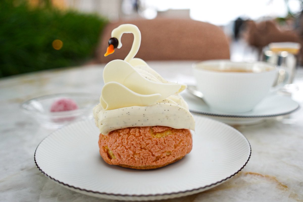 ในใใใ๐ซง๐ฌ๐๐๐ tweet media