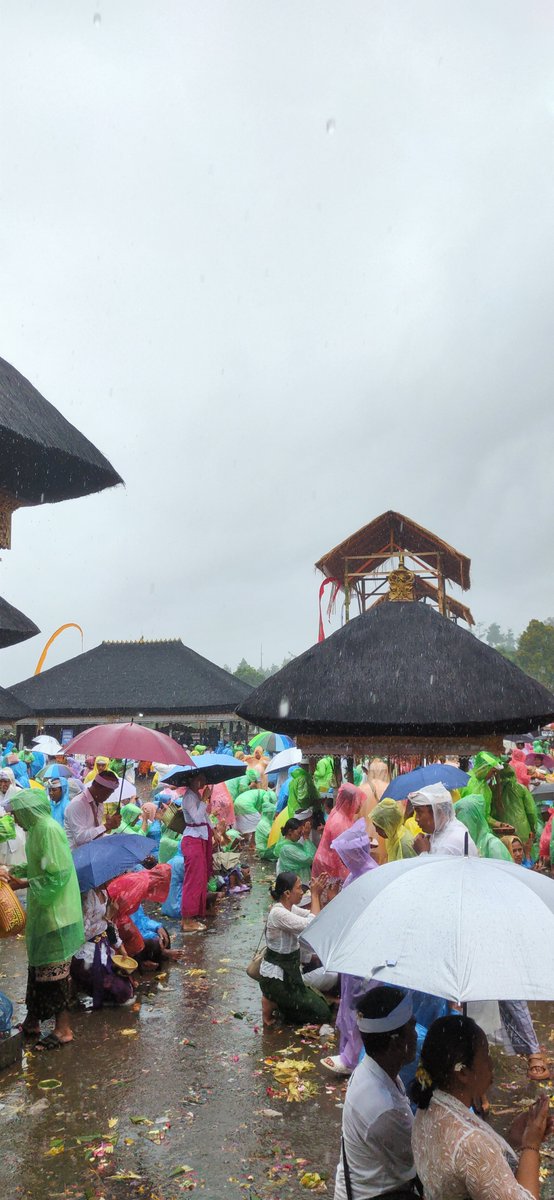 Petra Max tweet media