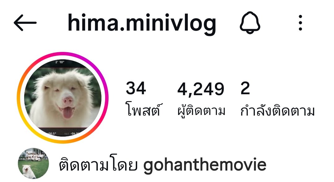 lolifroyd 😼🤍 tweet media