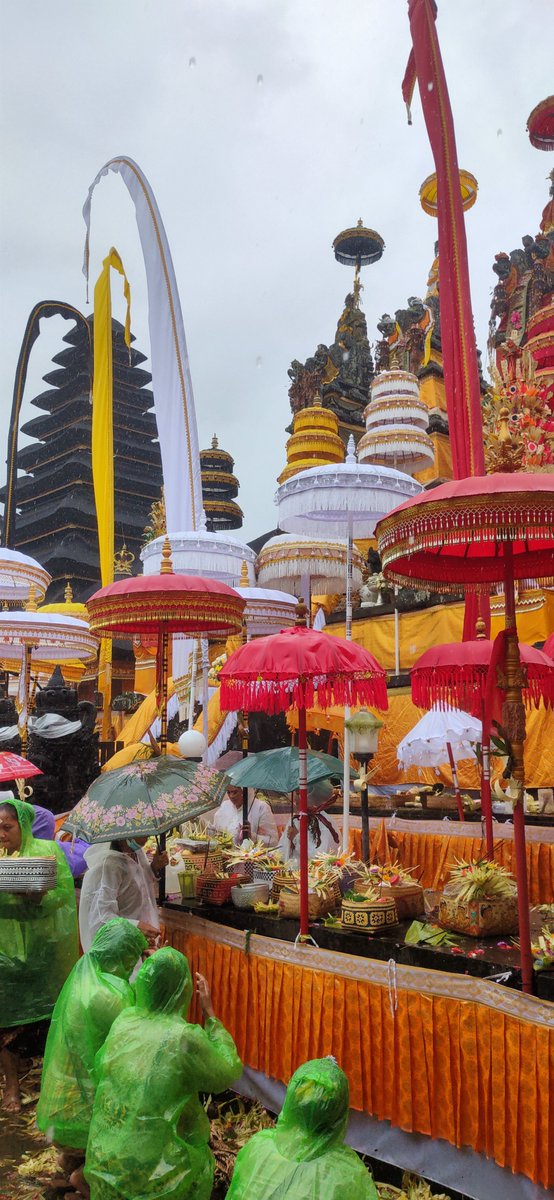 Petra Max tweet media