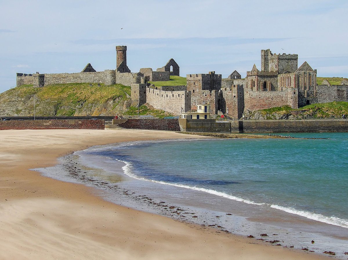 dorothy derbyshire tweet media