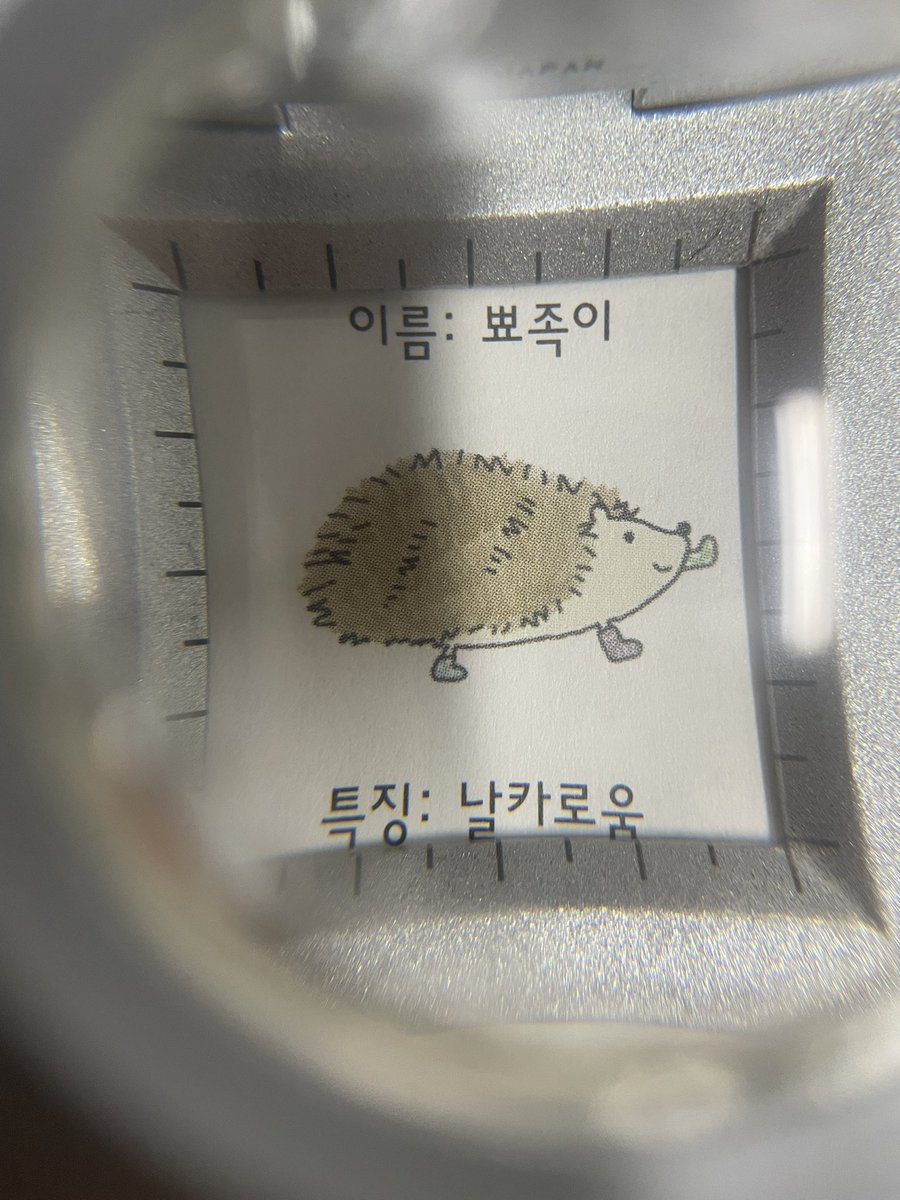 도리핑 tweet media