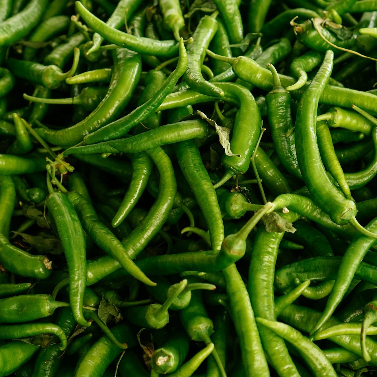 SİYAH SANCAK tweet media