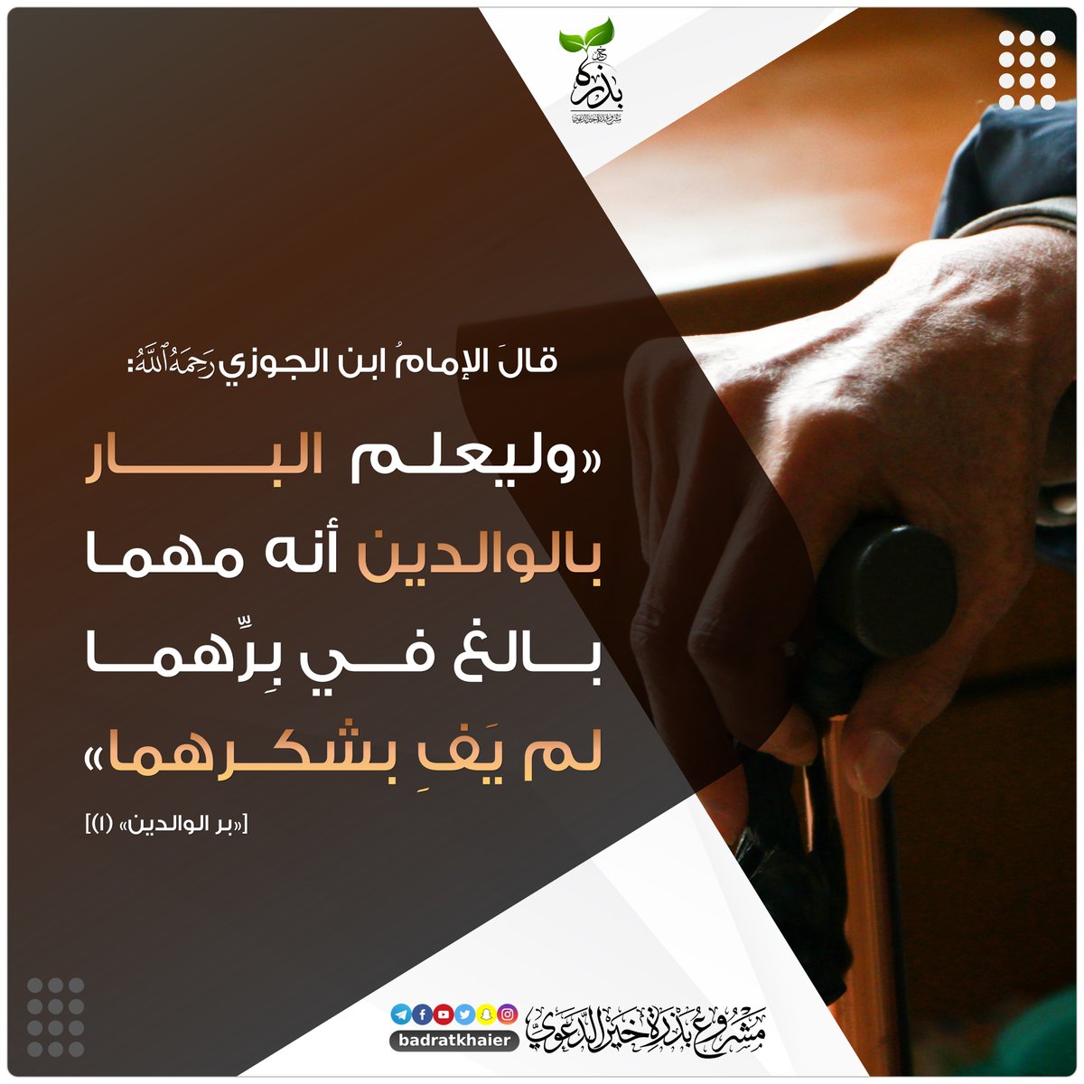 بذرة خير tweet media