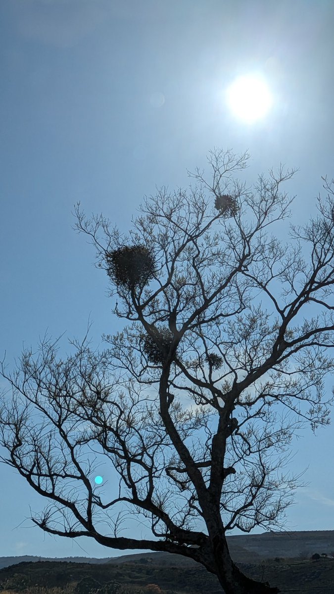 おしゃち🫍(雑多垢) tweet media