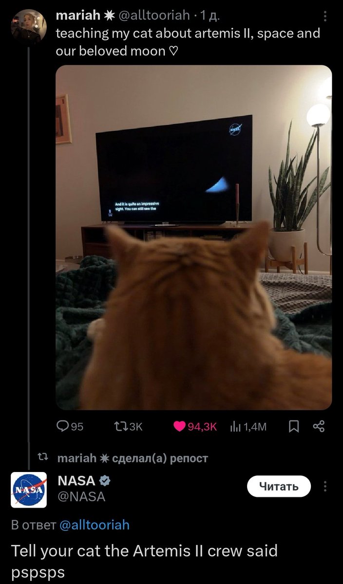 lisopsiso's tweet photo. Это невероятно мило https://t.co/2EPsVpWnDd