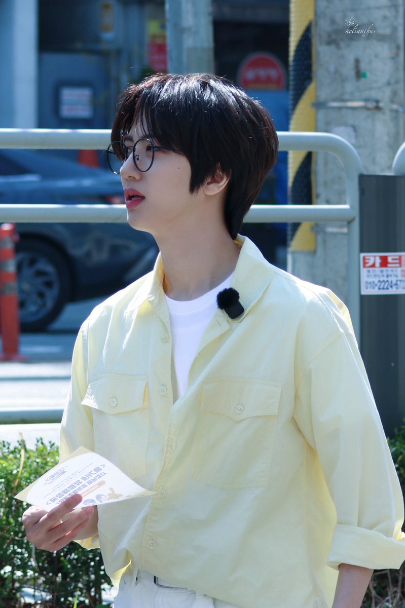 Helianthus tweet media