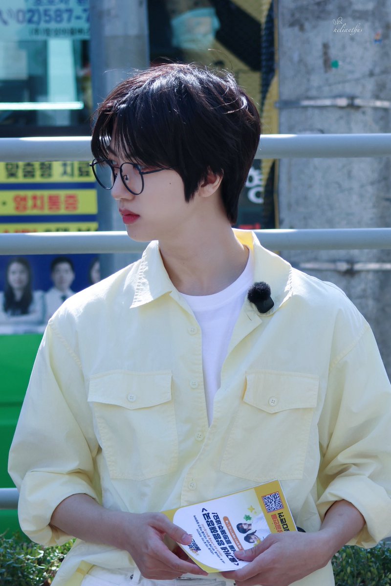 Helianthus tweet media