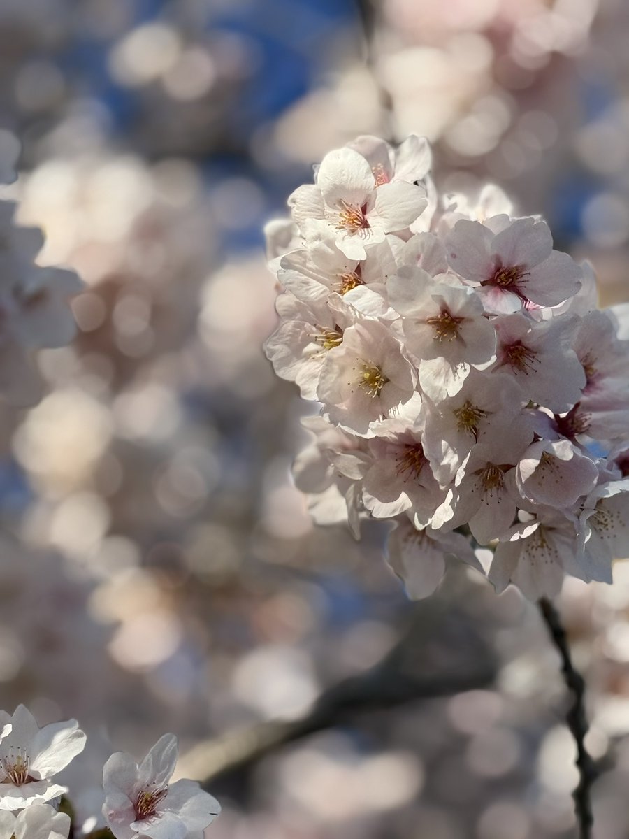 うみたん💙 tweet media