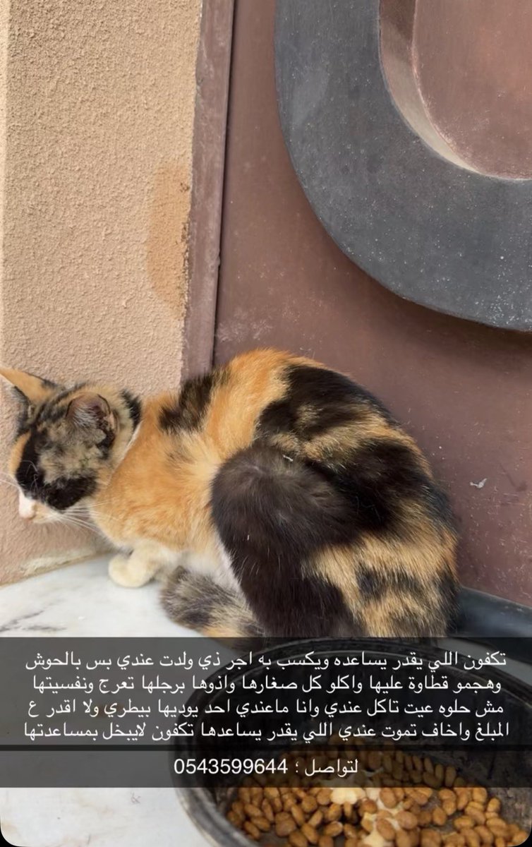 حنان الحربي 🐈 tweet media