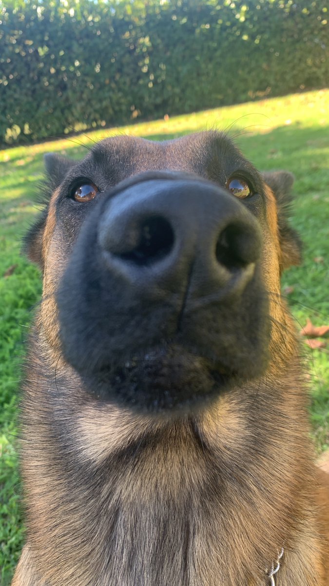 Anunaki 🇫🇷🇩🇿 tweet media