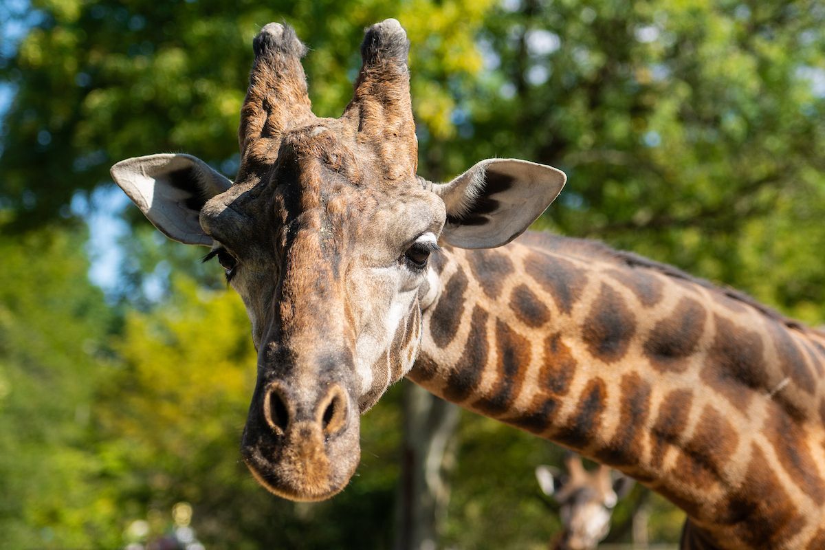 We4Climate tweet media