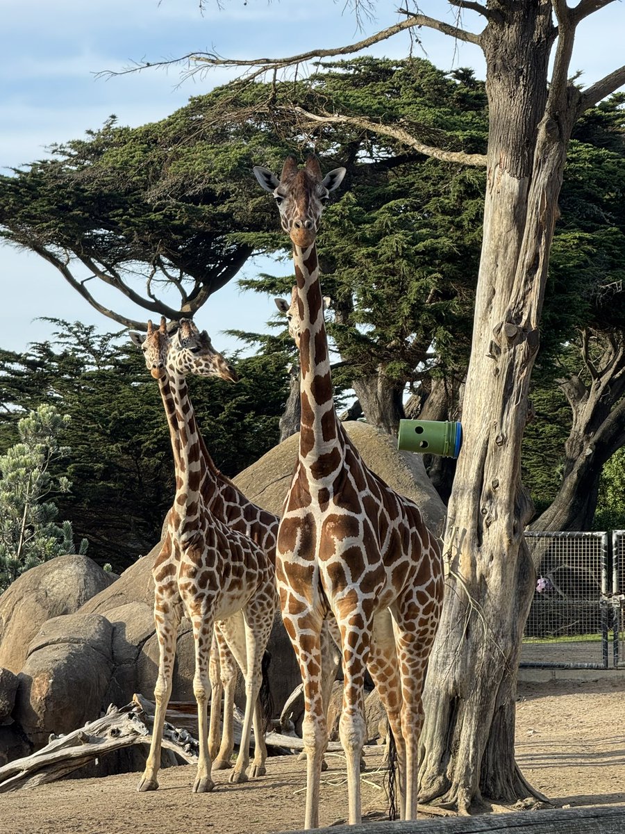 We4Climate tweet media