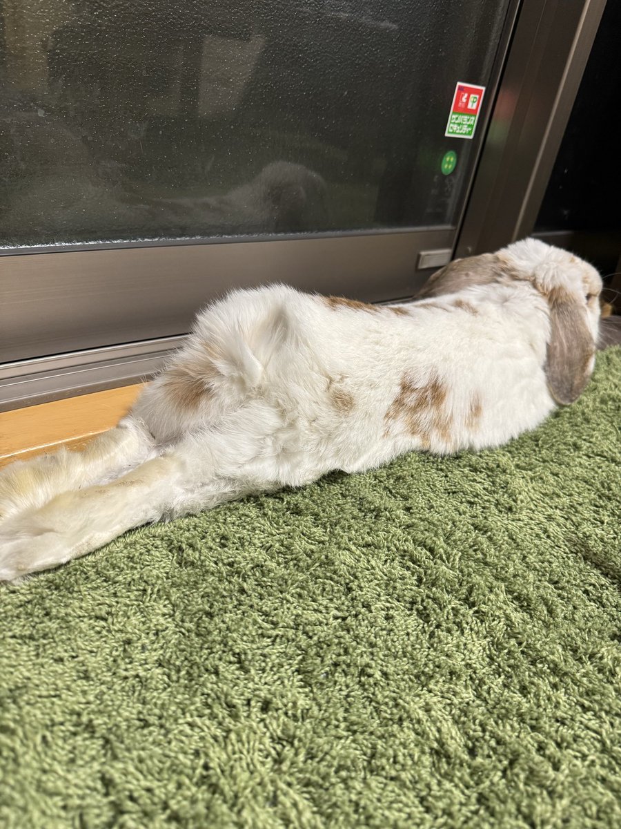 さぶたっぴー tweet media