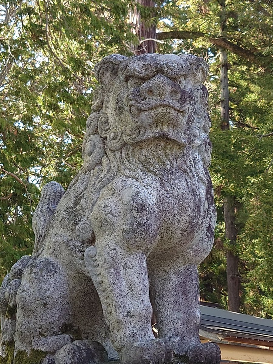 BM彡コマこま tweet media