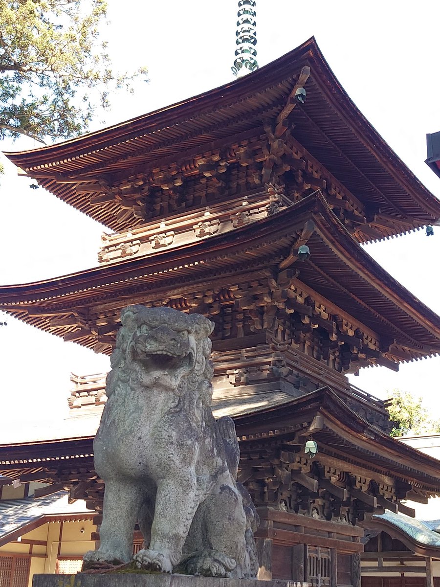 BM彡コマこま tweet media