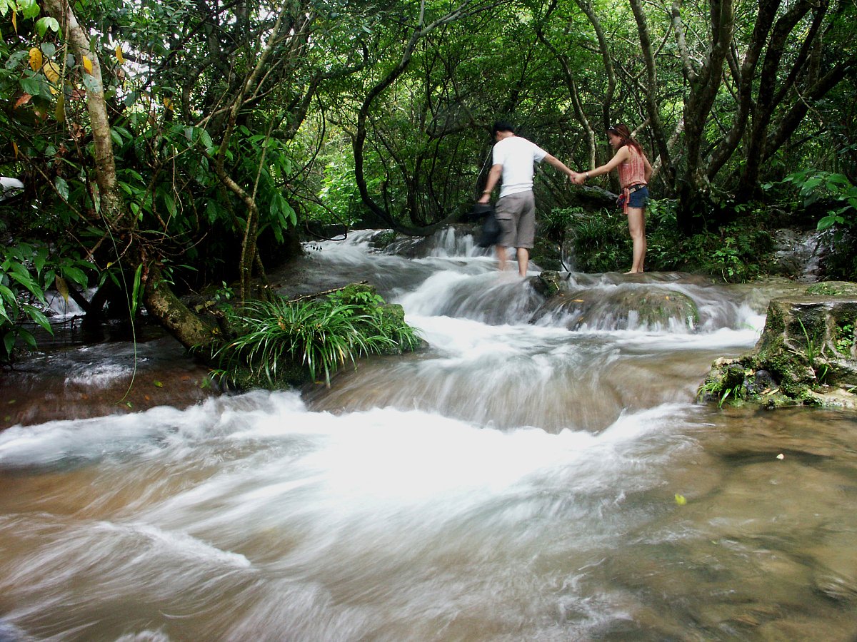 marisol garay tweet media