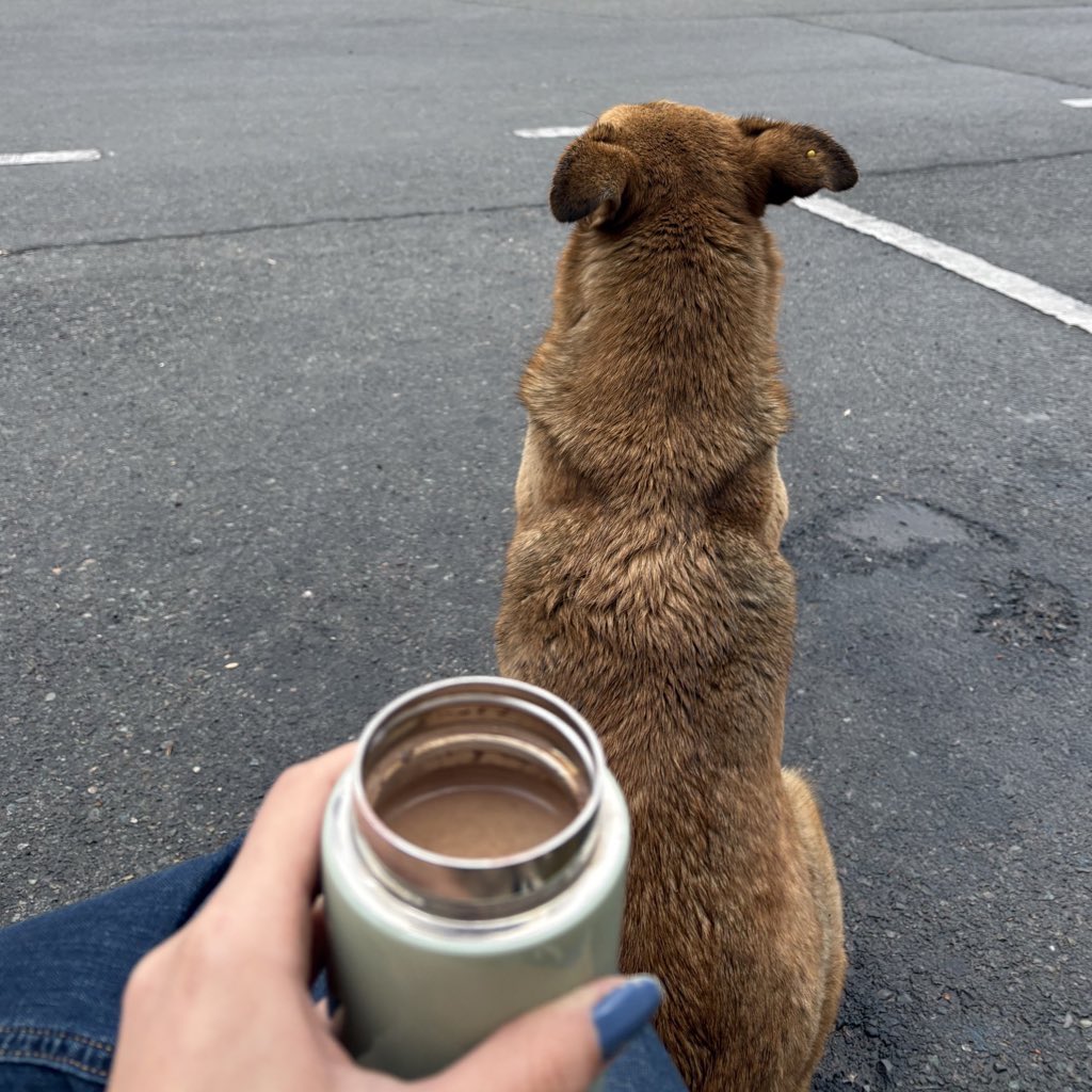 mischievousroj tweet media