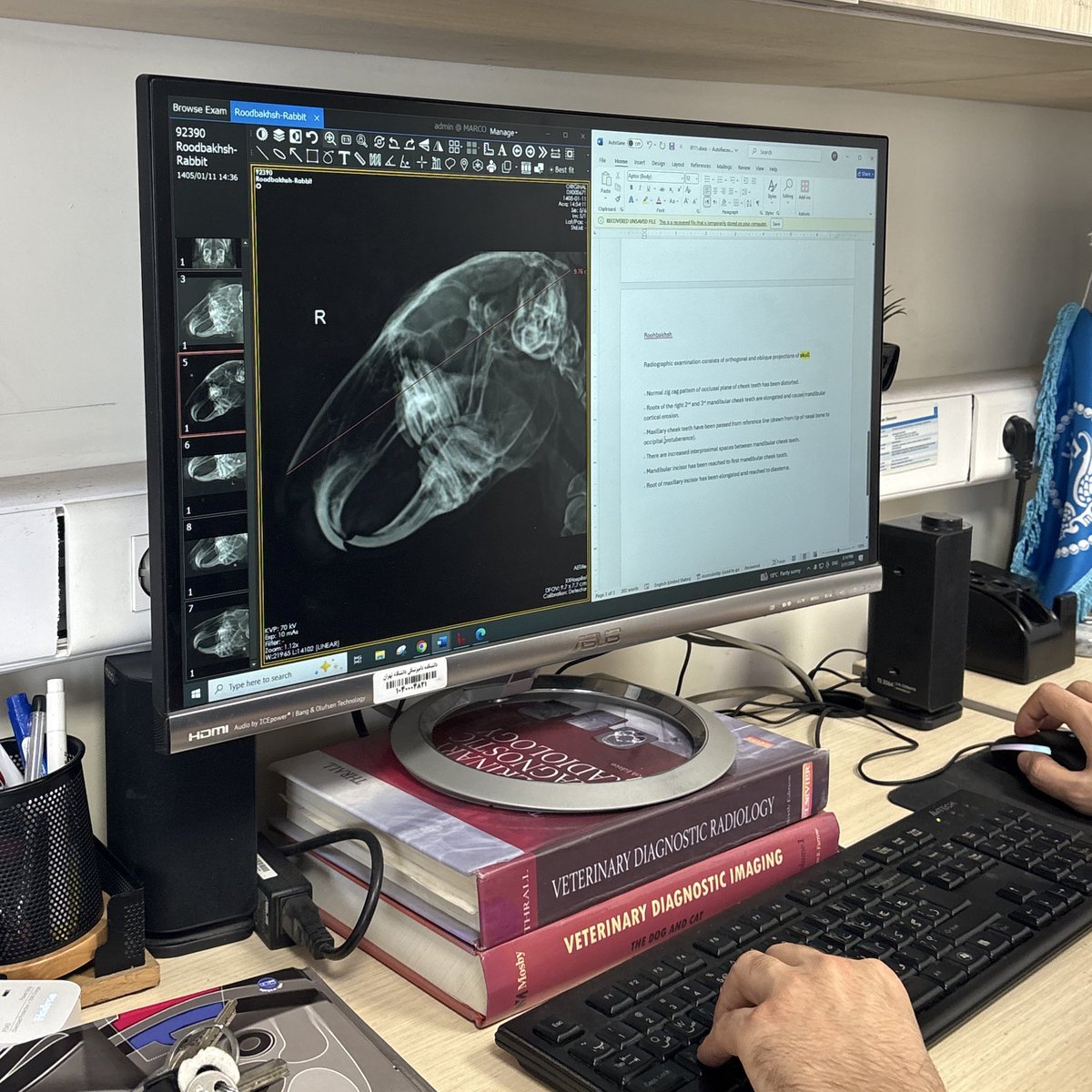 mischievousroj tweet media