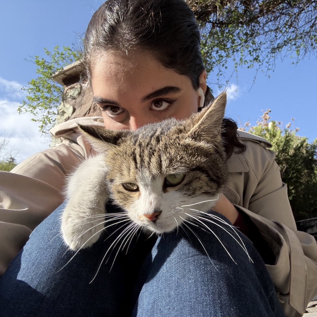 mischievousroj tweet media