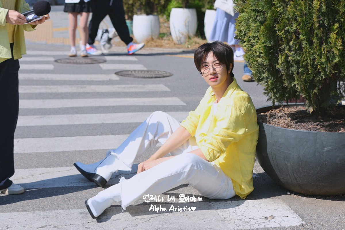 𝗔𝗟𝗣𝗛𝗔 𝗔𝗥𝗜𝗘𝗧𝗜𝗦 tweet media