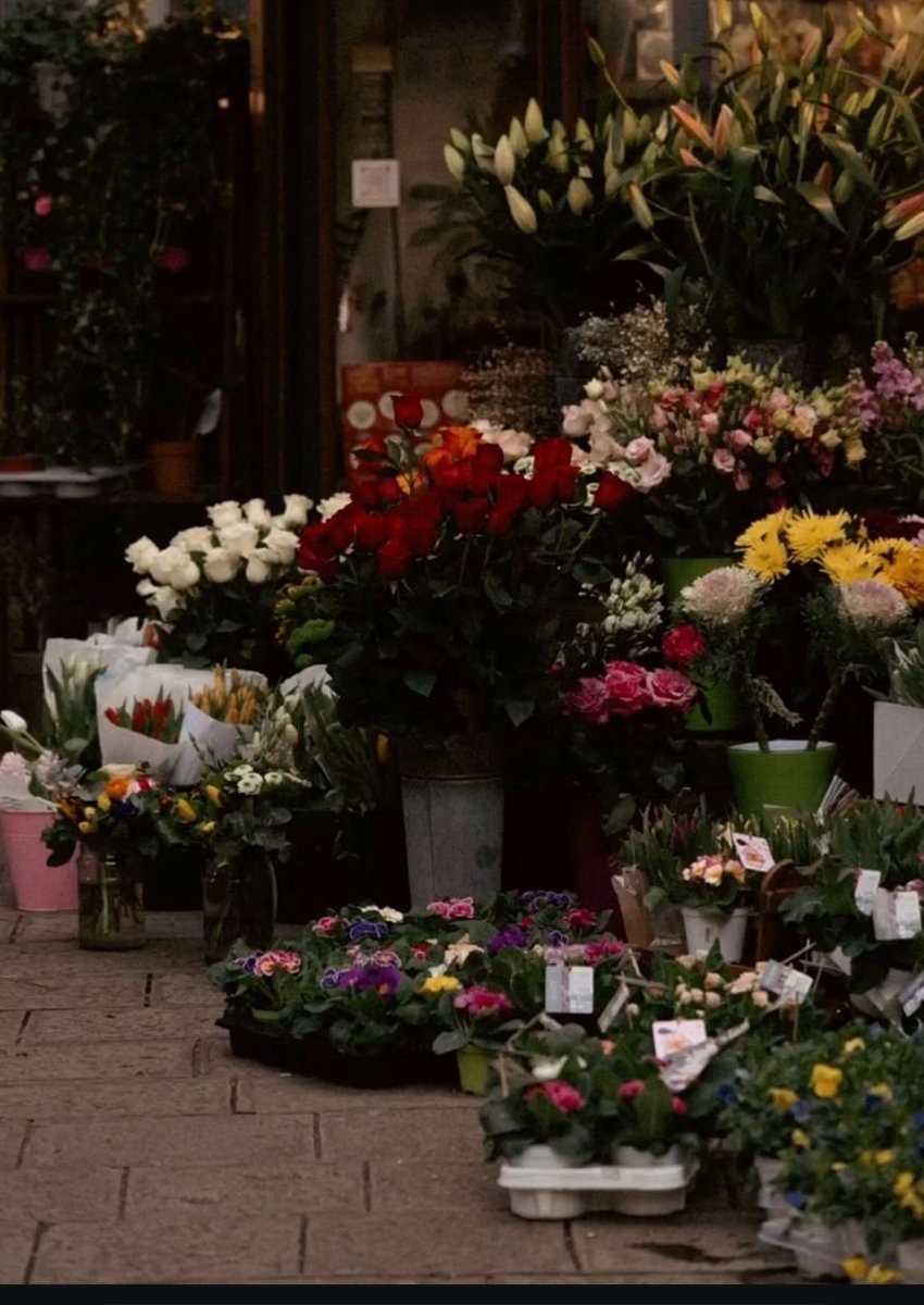 Vuslat( ım ) Ne Zaman 🇵🇸 tweet media