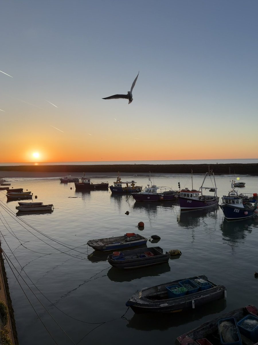DollyHPN's tweet image. Postcards from #Folkestone ☀️🌊⚓️

It’s gonna be a gorgeous sunny day in my corner of the world! 

Up &amp;amp; out early, so peaceful ☺️✨