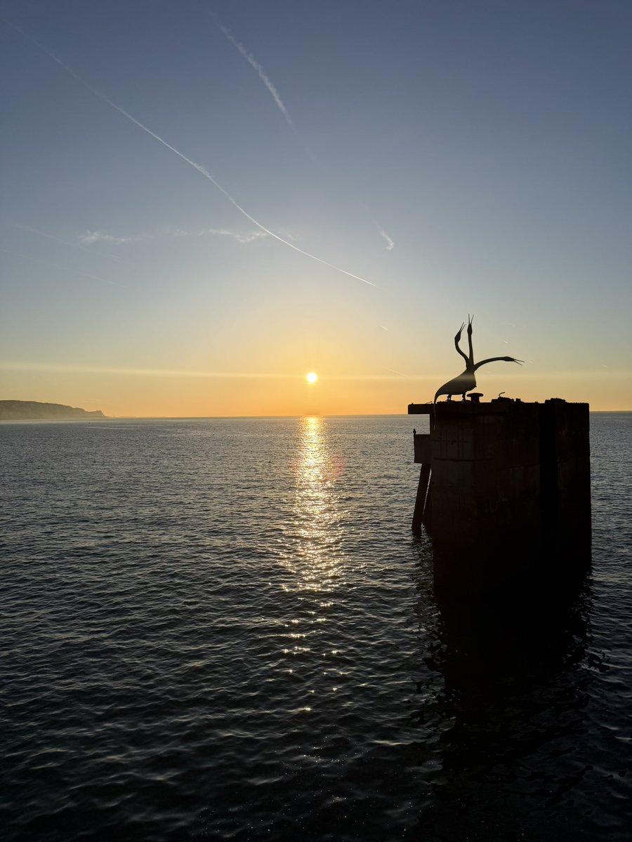 DollyHPN's tweet image. Postcards from #Folkestone ☀️🌊⚓️

It’s gonna be a gorgeous sunny day in my corner of the world! 

Up &amp;amp; out early, so peaceful ☺️✨