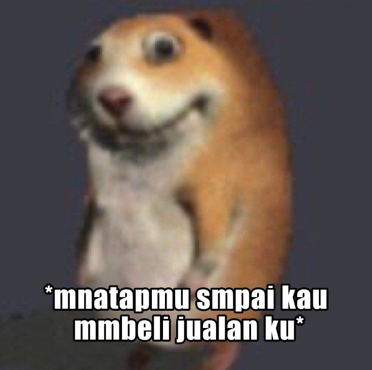 cerios | fast on whatsapp tweet media