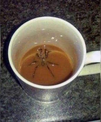 ⧉ 𝙵𝚎𝚕𝚒𝚡 𝙿𝚎𝚗𝚍𝚕𝚎𝚝𝚘𝚗 ⧉ tweet media