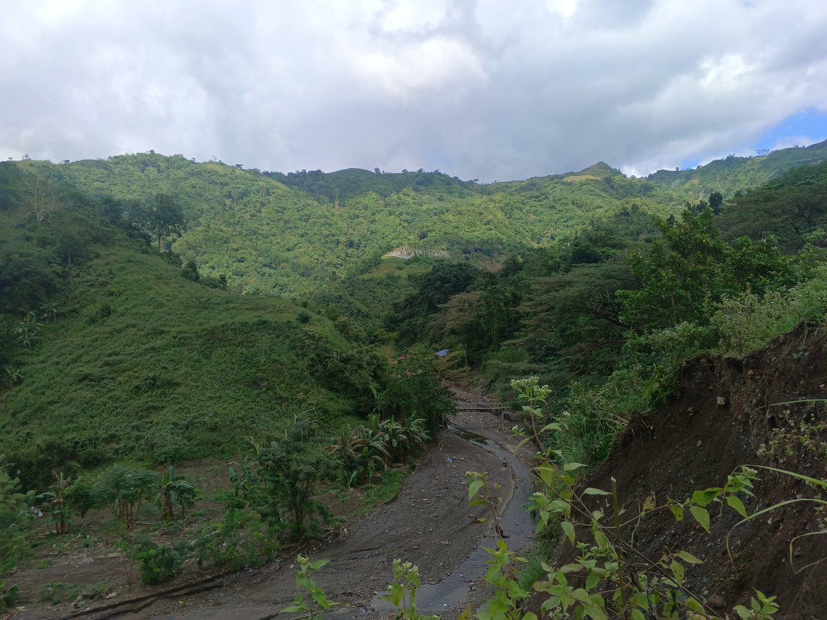 Textnote tweet media