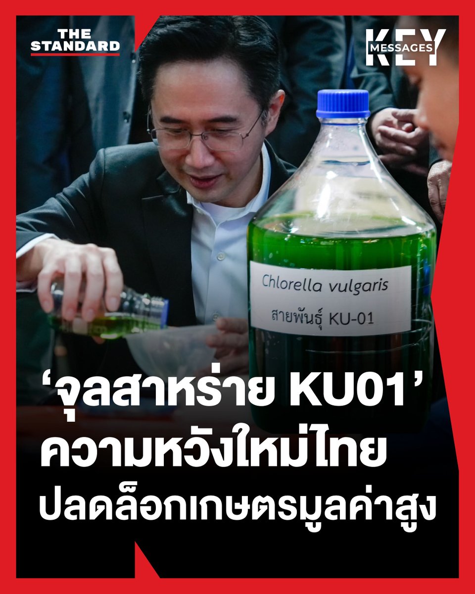 THE STANDARD tweet media