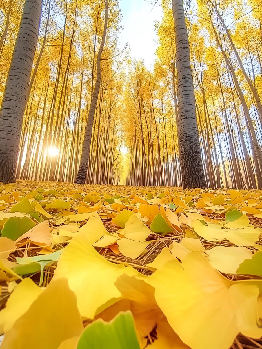 Ben Castle tweet media