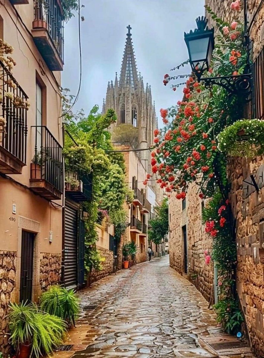 Alice 🌸🍃🌸 tweet media