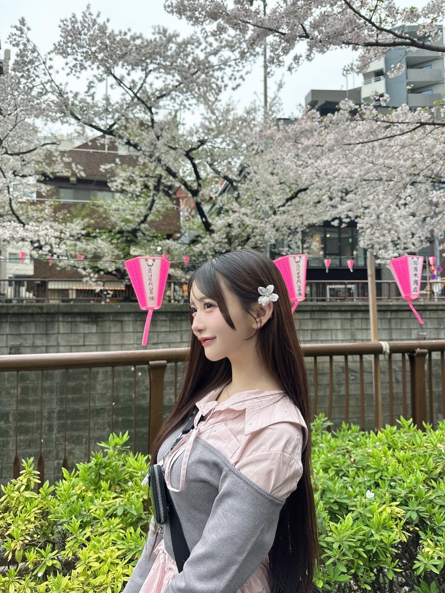 七瀬にこ【TENRIN】 tweet media